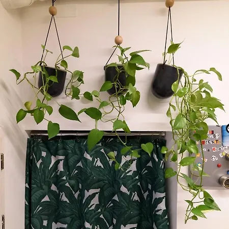 Διαμέρισμα La Maison Di Marta Σιένα