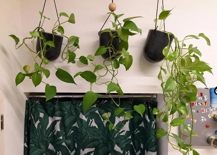 Apartmán La Maison Di Marta Siena